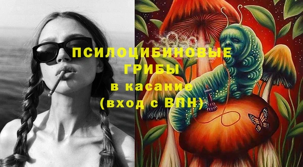 прущая мука Ладушкин