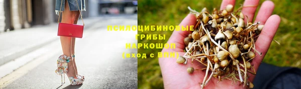 бошки Лабытнанги