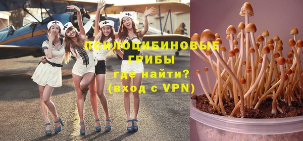 бошки Лабытнанги