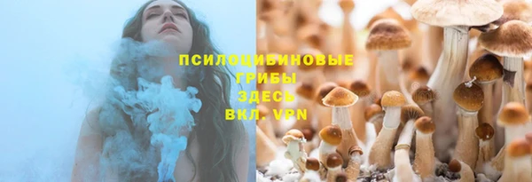 прущая мука Ладушкин