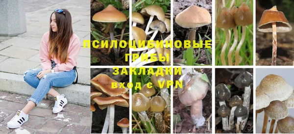 марки lsd Лагань